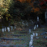 奥秩父の寺 高谷山金昌寺06