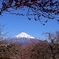 富士山色々①