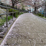 雨あがり