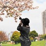 一葉桜を撮る友