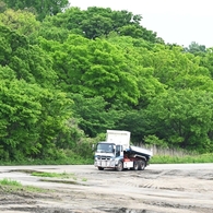 A公園の森にオオルリは来るか・・