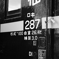 カメラ レンズ(単焦点) TOKINA(トキナー)のレンズ AT-X M35 PRO DX 35mm F2.8 (ﾆｺﾝ用) で撮影 