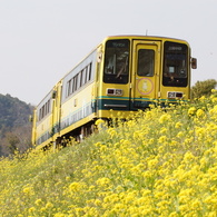 いすみ鉄道　キハ200！