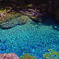 エメラルド色の水底　IMGP5418zz