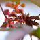 アメリカ ケンタッキー州リッチモンドに咲くトウゴマ