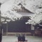 靖国神社　２０１１　桜