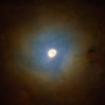 寝待月の月彩雲
