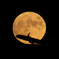 中秋の名月と飛行機