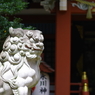 狛犬_中野氷川神社