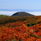栗駒山から眺める紅葉と雲海