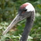 上野動物園