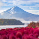 富士山秋景2022