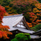 X-H2_Photography_雷山千如寺大悲王院