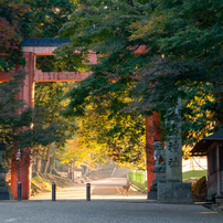 朝の奈良公園 (3)