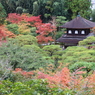 銀閣寺②