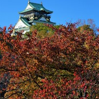 秋の大阪城１