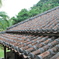沖縄で、屋根
