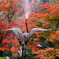 鶴の噴水と紅葉