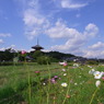 塔と秋の空