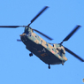 「Blue」陸上自衛隊ヘリコプター　チヌーク飛来する　