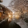 京都 祇園白川 雪の夜