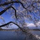 田貫湖の春 -2  (603T)