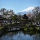 忍野八海の眺め