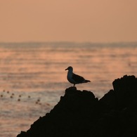 静寂・三陸海岸