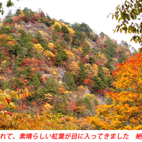 秋色の両神山登頂2012B