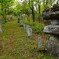 野仏の里　伐株山登山道にて