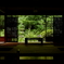窓から見える情景　古都鎌倉の緑