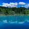 空の青を真似た池