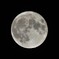 今夜も月が見てるわ　2023.8.31