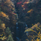 滝を包む秋色