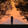 シルエット富士を背景に-2