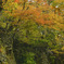 関山大滝１