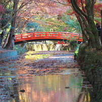 遠江国一宮小國神社、彩りの宮川