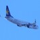 スカイマーク　機種：737-800　 機体記号：JA73NE