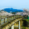 中ノ島橋と桜