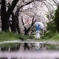 雨上がり