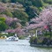 蓮華寺池公園（９）