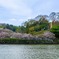 蓮華寺池公園（10）