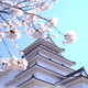 鶴ヶ城と桜！