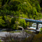 東北の春 ～緑を駆ける！瞬(とき)。～