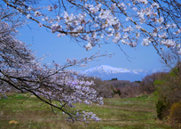 里山の春景