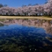 天満大池公園桜並木の水鏡２