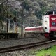 山色づくころ～伯備線・布原駅