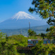 朝の東海道線