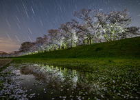 背割堤の夜