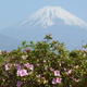 4月20日 今朝の富士山